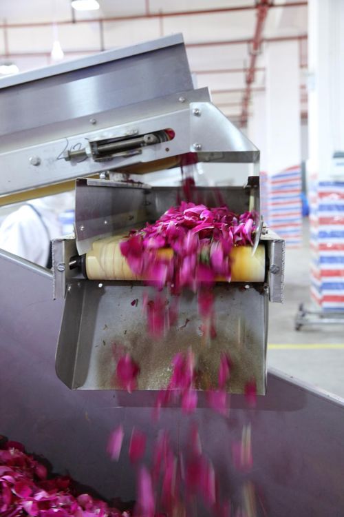 全面革新 嘉華食品花工廠技術(shù)升級與盆景種植新篇章