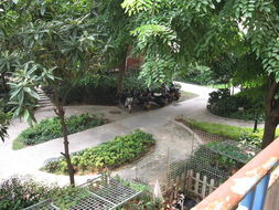 廈門吉利園 匠心獨(dú)運(yùn)，盆景藝術(shù)點(diǎn)亮花卉世界